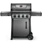 Freestyle 425 Gas Grill